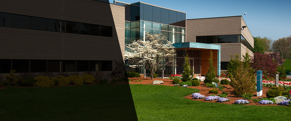 Ridgefield Landscapers