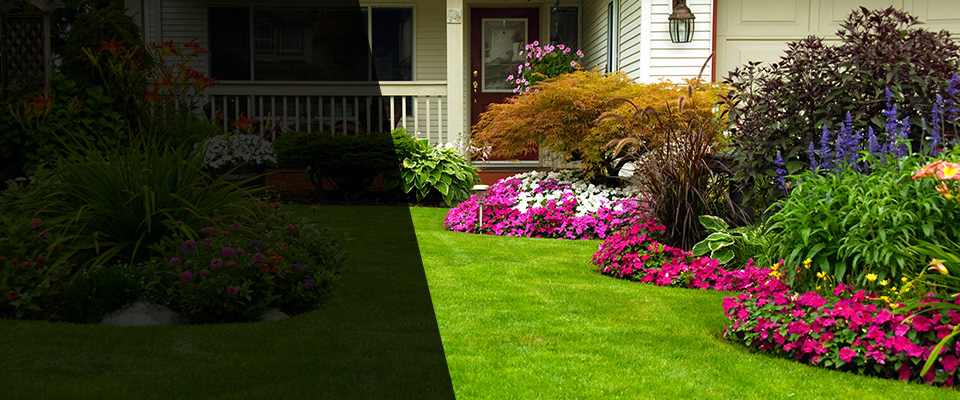 Ridgefield Landscapers