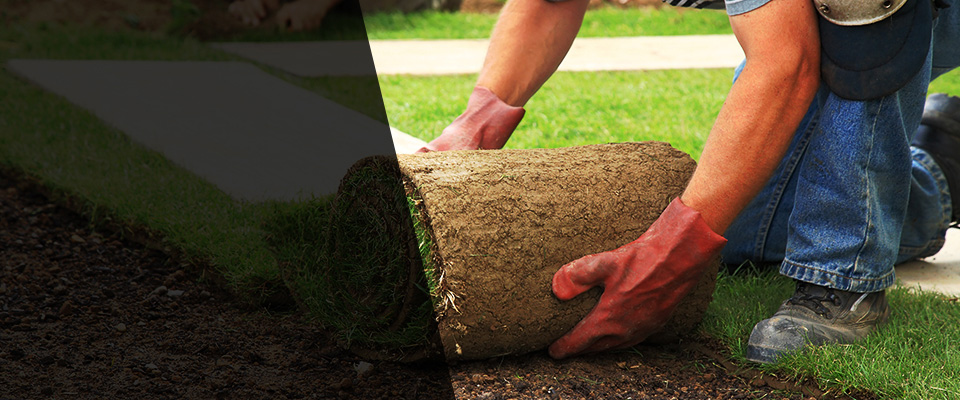 Ridgefield Landscapers